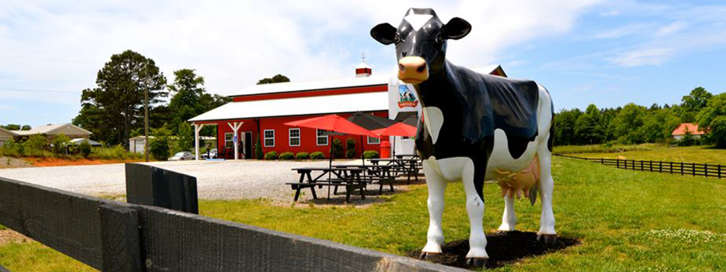 Dipsy The Cow